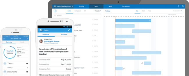Project Management software